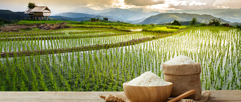 National Conference on Tai – Thai Folklore and Rice Culture