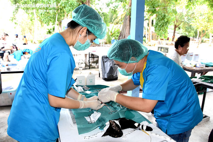 โครงการสัตวแพทย์ จุฬาฯ ติดปีก 2561