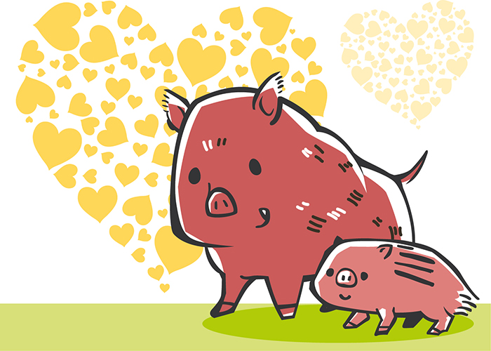 สังคมร่วมเยียวยา ‘ทีมหมูป่า’