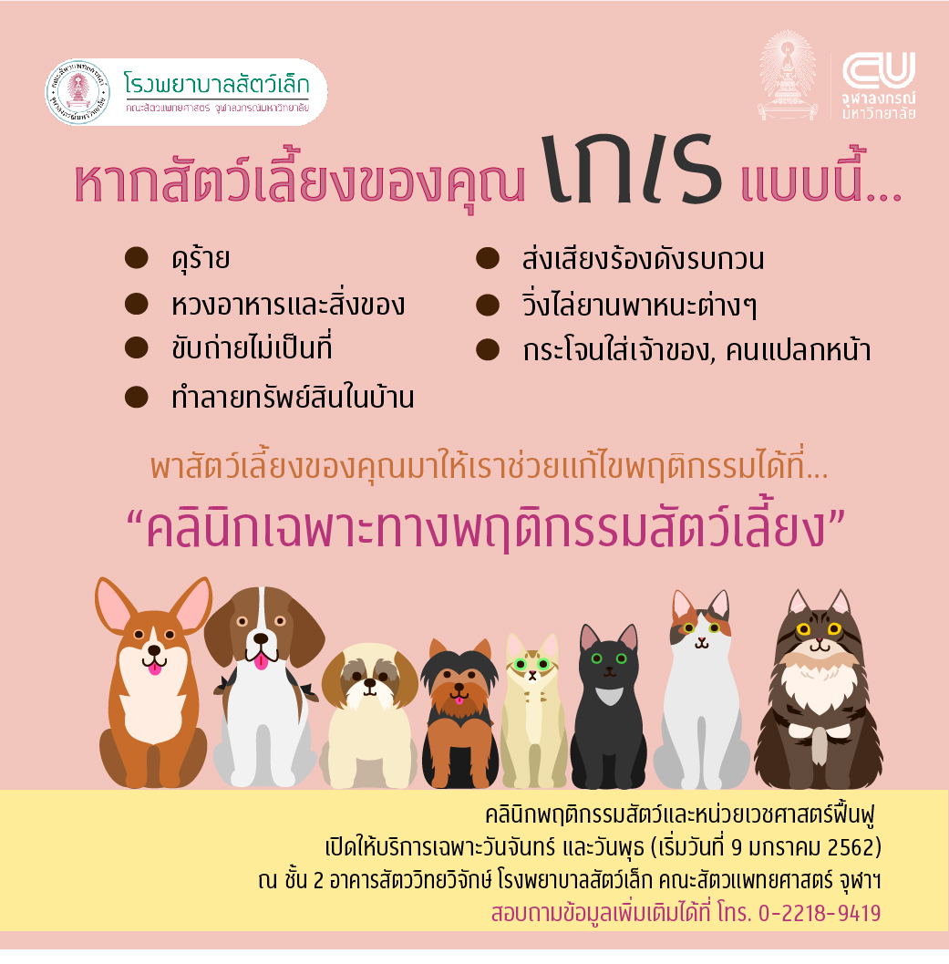 สัตวแพทย์ จุฬาฯ เปิดให้บริการคลินิกแก้ไขปรับปรุงพฤติกรรมของสัตว์เลี้ยง