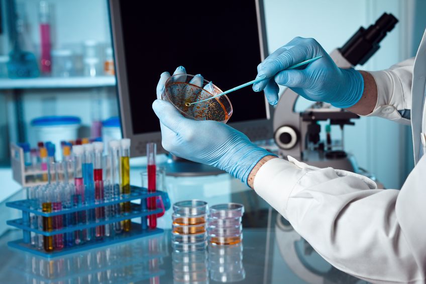 Applications Now Open for CU Medical Microbiology Program Academic Year 2019