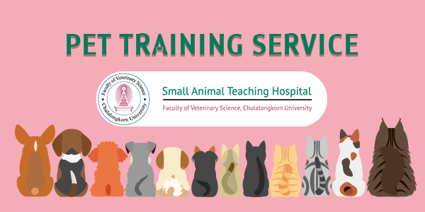 CU Small Animal Hospital Opens Pet Training Service