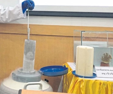 Scientists make coral breakthrough