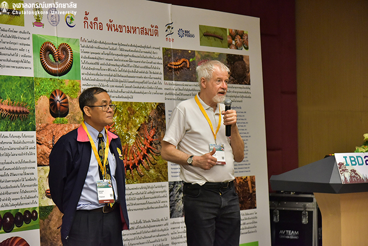 New Millipede Species Discovered in Thailand