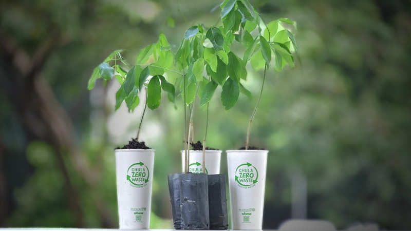 CU develops zero-waste paper cups to be used as seed pots