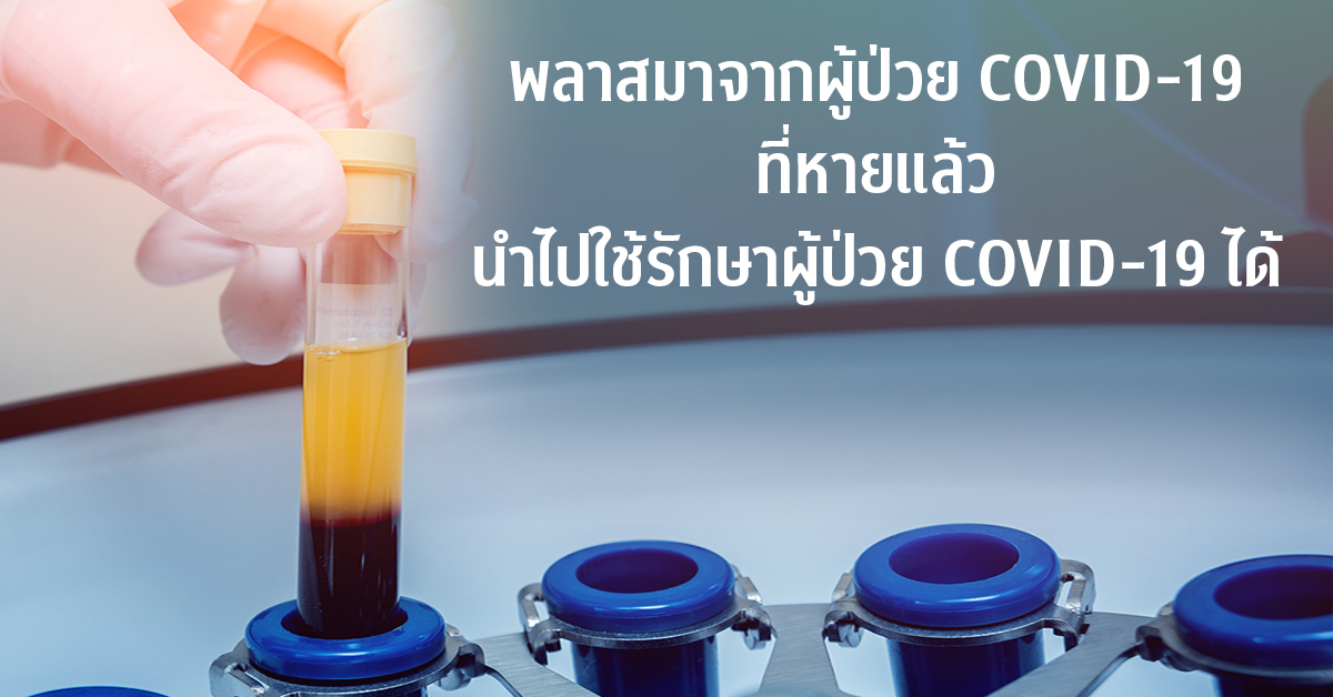 พลาสมาจากผู้ป่วย COVID-19 ที่หายแล้ว นำไปใช้รักษาผู้ป่วย COVID-19 ได้