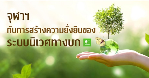 จุฬาฯที่ 1 ไทยพัฒนานิเวศยั่งยืน