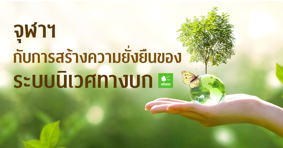 จุฬาฯ กับการสร้างความยั่งยืนของระบบนิเวศทางบก