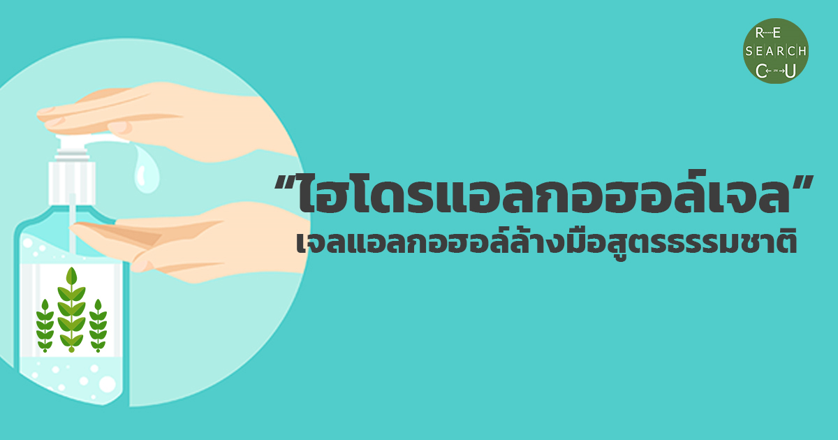 “ไฮโดรแอลกอฮอล์เจล” เจลแอลกอฮอล์ล้างมือสูตรธรรมชาติ ผลงานวิจัยจากอาจารย์คณะสัตวแพทยศาสตร์ จุฬาฯ