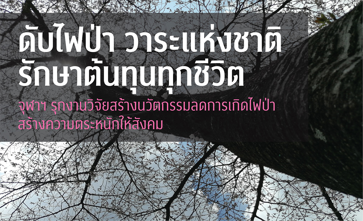 ดับไฟป่า วาระแห่งชาติ รักษาต้นทุนทุกชีวิต จุฬาฯ รุกงานวิจัยสร้างนวัตกรรมลดการเกิดไฟป่า สร้างความตระหนักให้สังคม