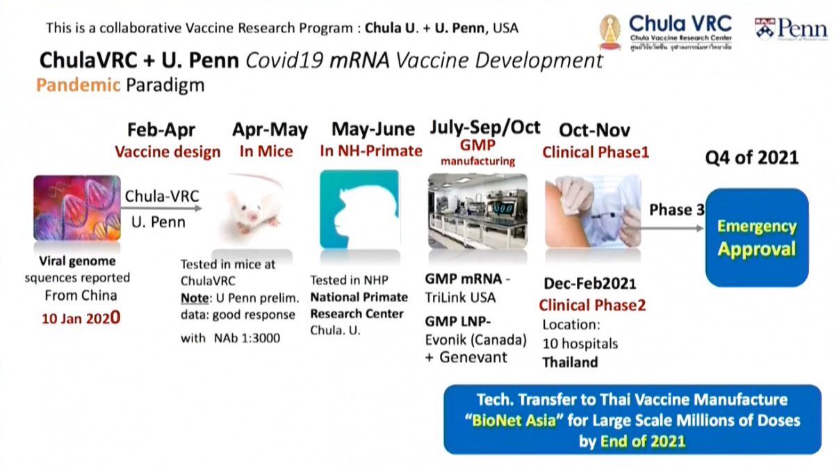 Thailand joins global race to develop COVID-19 vaccine