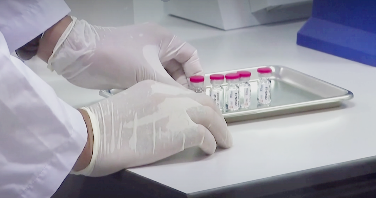 Reuters: Thailand begins coronavirus vaccine trials on monkeys