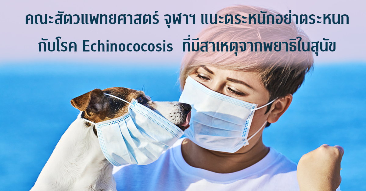 คณะสัตวแพทยศาสตร์ จุฬาฯ แนะตระหนักอย่าตระหนก กับโรค Echinococosis  ที่มีสาเหตุจากพยาธิในสุนัข