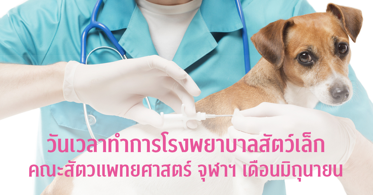 วันเวลาทำการโรงพยาบาลสัตว์เล็ก  คณะสัตวแพทยศาสตร์ จุฬาฯ  เดือนมิถุนายน