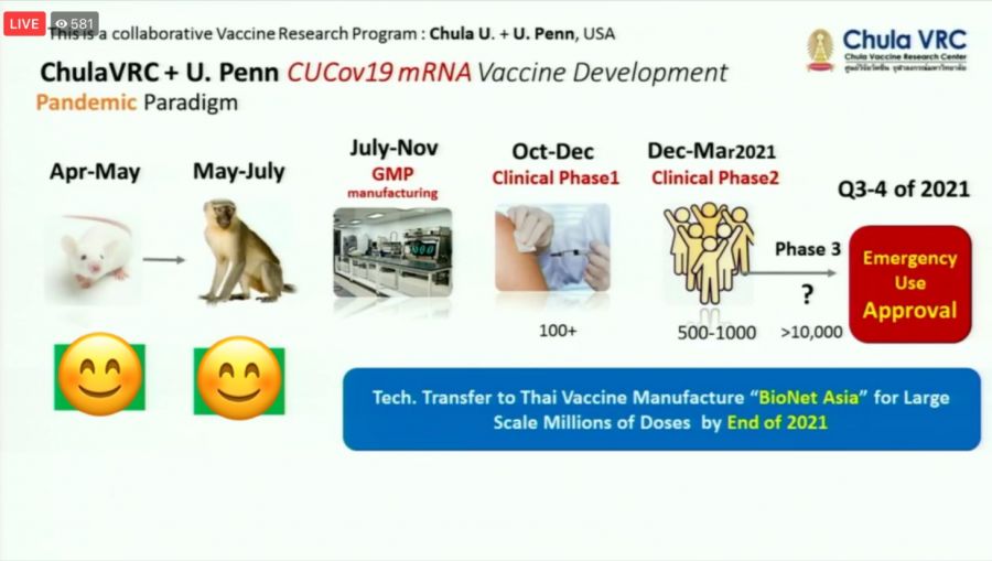 ‘Chula-Covid-19 vaccine trial on monkeys a success but human trial awaits FDA green light’