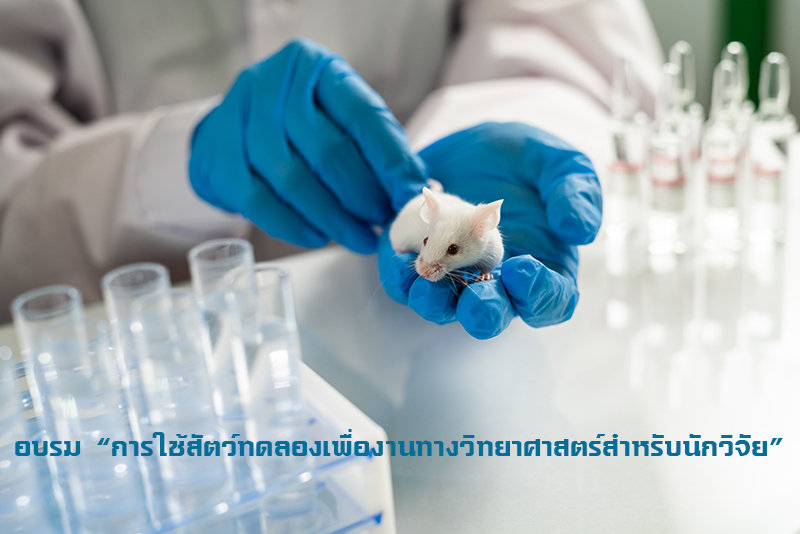 อบรม “การใช้สัตว์ทดลอง เพื่องานทางวิทยาศาสตร์ สำหรับนักวิจัย”