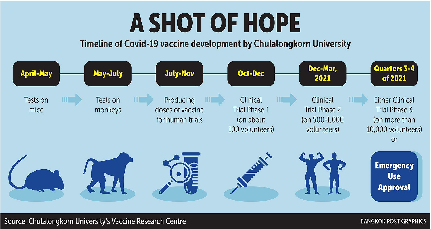 Vaccine ready ‘next year’