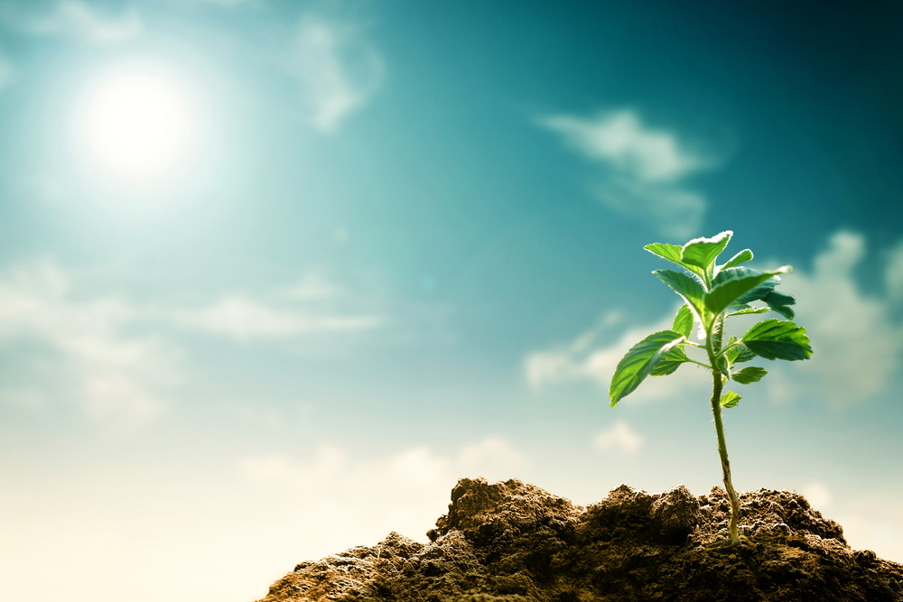 Chulalongkorn University Upholds Sustainable Use of Land