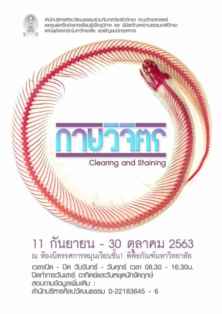 “Clearing and Staining” Exhibition