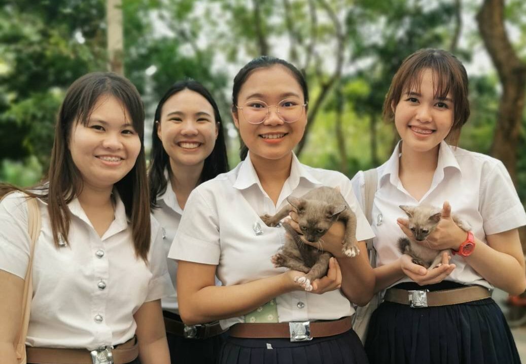 นิสิตสัตวแพทย์จุฬาฯ จิตอาสาดูแลหมาแมวจรจัด ทุกชีวิตมีค่า…อย่าทิ้งขว้าง