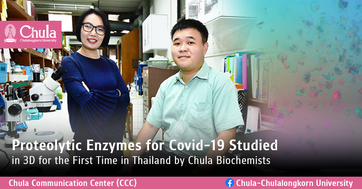 Proteolytic Enzymes for Covid-19 Studied in 3D for the First Time in Thailand by Chula Biochemists
