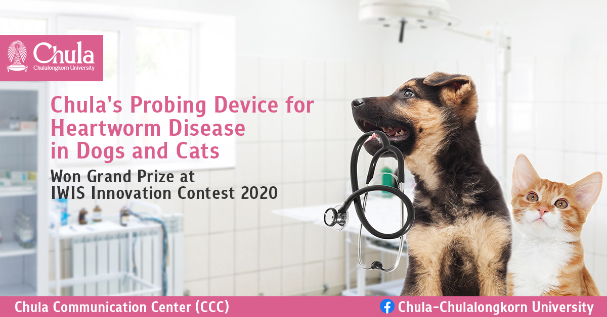 Chula’s Probing Device for Heartworm Disease in Dogs and Cats Won Grand Prize at IWIS Innovation Contest 2020