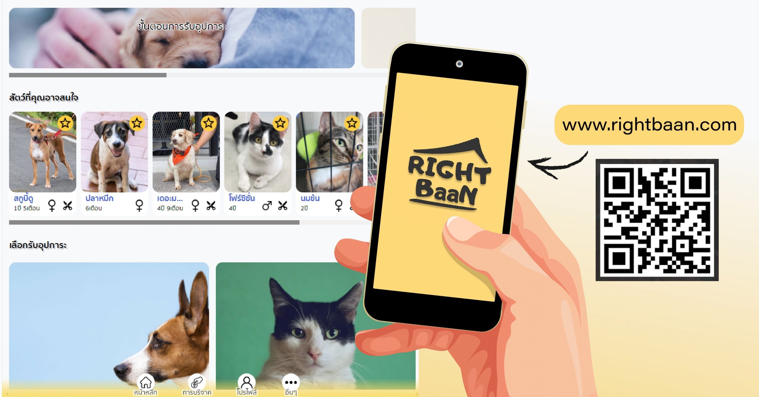 New app to find homes for stray animals