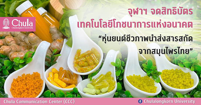 จุฬาฯ จดสิทธิบัตร เทคโนโลยีโภชนาการแห่งอนาคต “หุ่นยนต์ชีวภาพนำส่งสารสกัดจากสมุนไพรไทย”