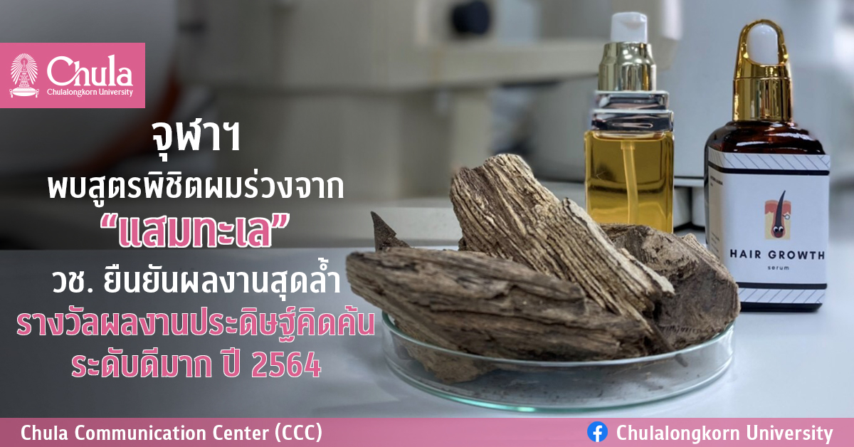 จุฬาฯ พบสูตรพิชิตผมร่วงจาก “แสมทะเล” วช. ยืนยันผลงานสุดล้ำ รางวัลผลงานประดิษฐ์คิดค้น ระดับดีมาก ปี 2564
