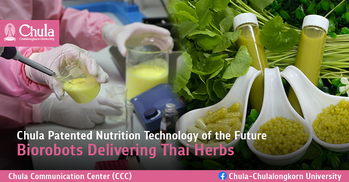 Chula Patented Nutrition Technology of the Future “Biorobots Delivering Thai Herbs”