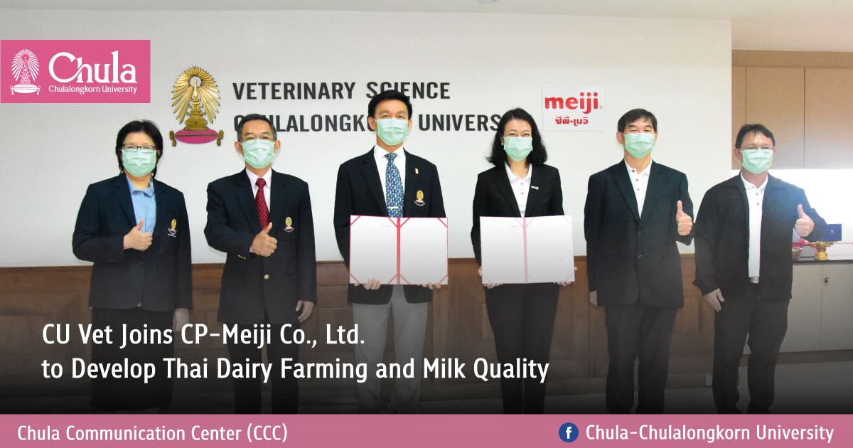 CU Vet Joins CP-Meiji Co., Ltd. to Develop Thai Dairy Farming and Milk Quality