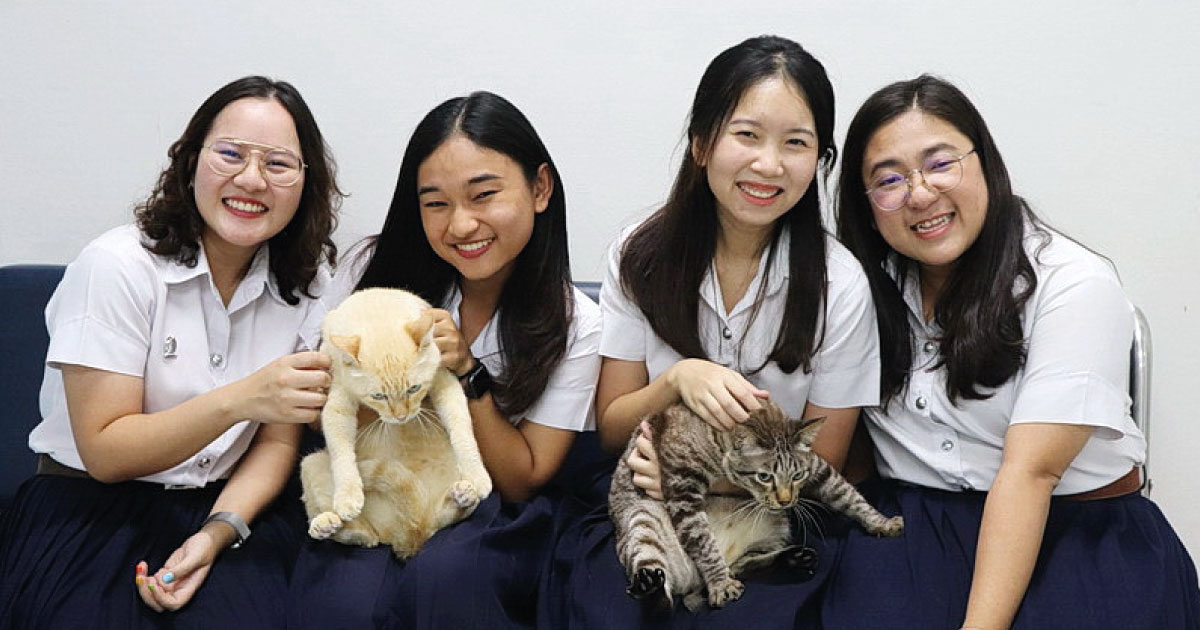 Find a Fuzzy Shelter Foreverpal on New Site by Chula Vet Students