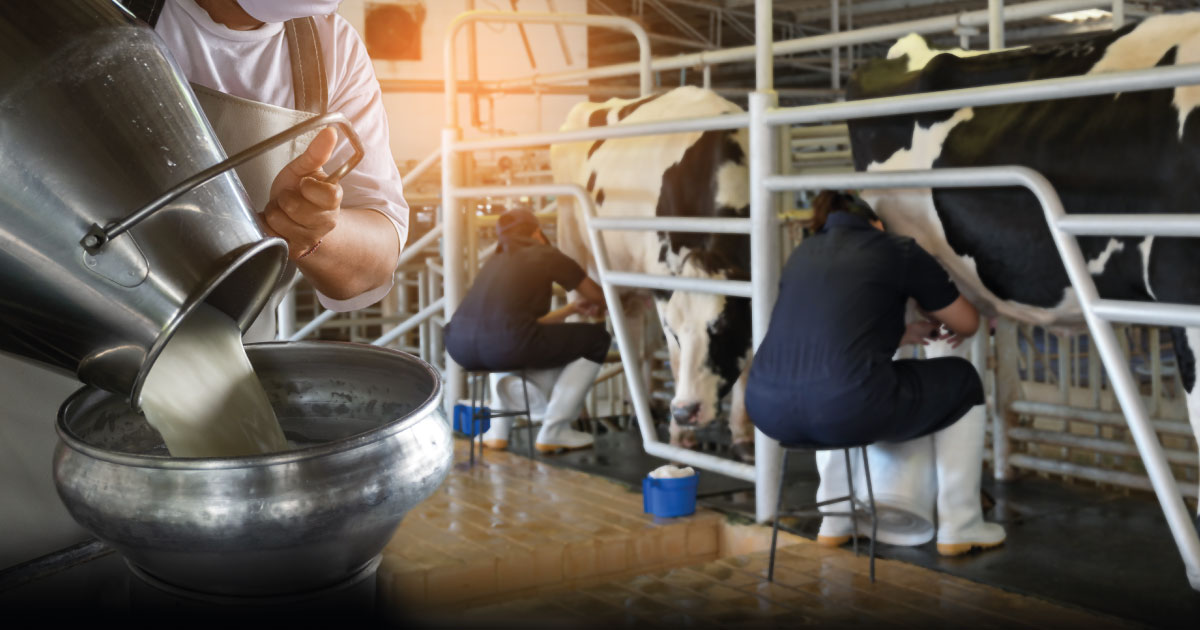 Thai Scientists Find New Way to Keep Milk Fresh, Lowering Costs