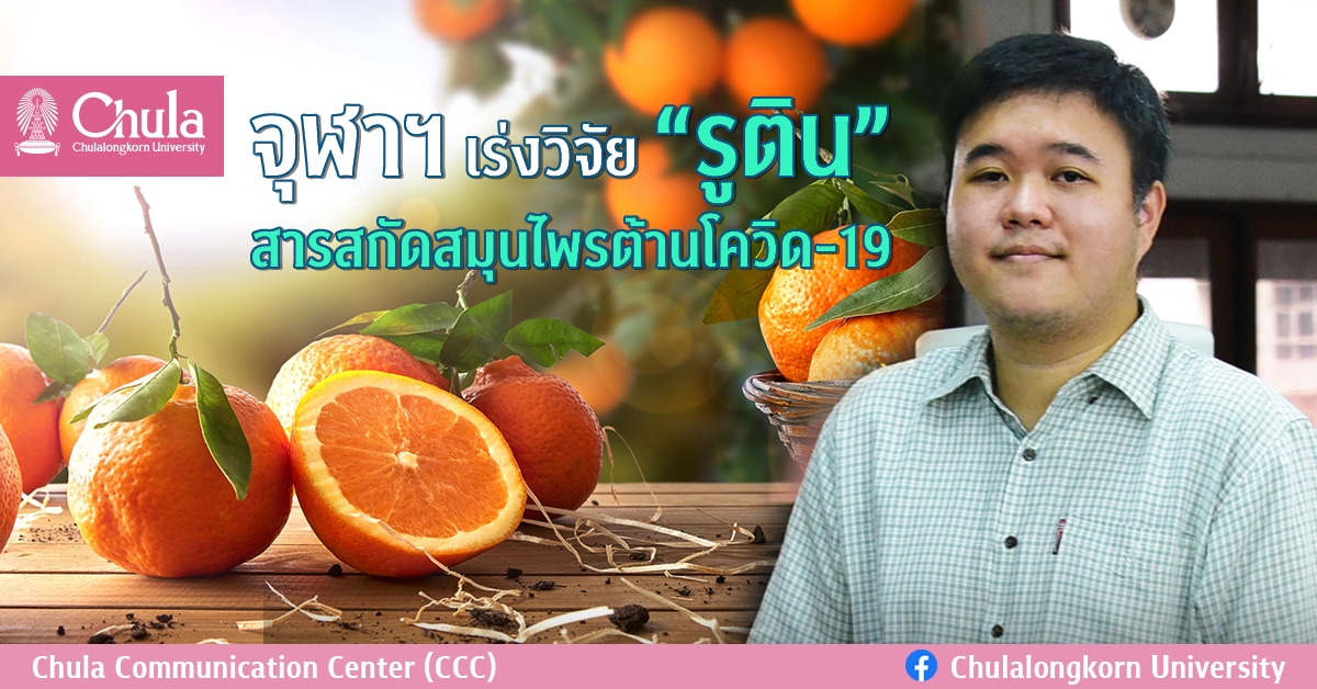 จุฬาฯ เร่งวิจัย “รูติน” สารสกัดสมุนไพรต้านโควิด-19