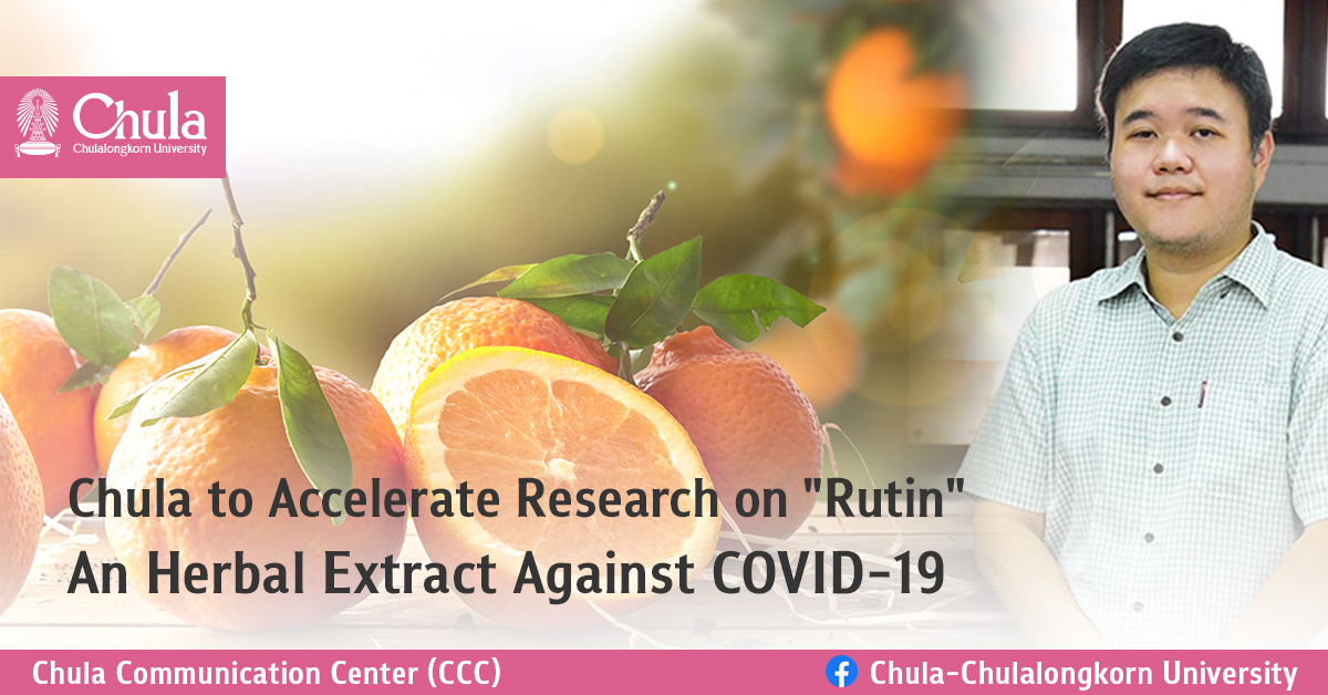Chula to Accelerate Research on “Rutin” — An Herbal Extract Against COVID-19