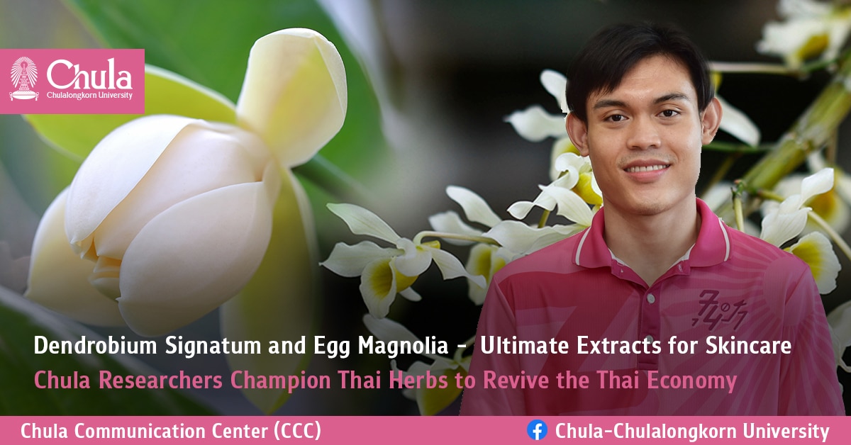 Dendrobium Signatum and Egg Magnolia –  Ultimate Extracts for Skincare. Chula Researchers Champion Thai Herbs to Revive the Thai Economy