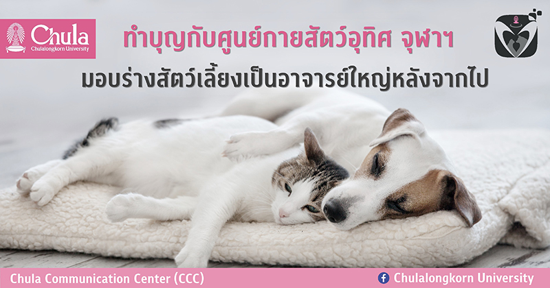 ทำบุญกับศูนย์กายสัตว์อุทิศ จุฬาฯ มอบร่างสัตว์เลี้ยงเป็นอาจารย์ใหญ่หลังจากไป