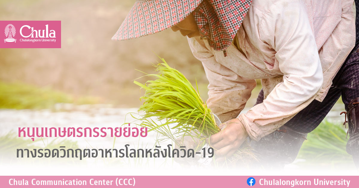 หนุนเกษตรกรรายย่อย ทางรอดวิกฤตอาหารโลกหลังโควิด-19