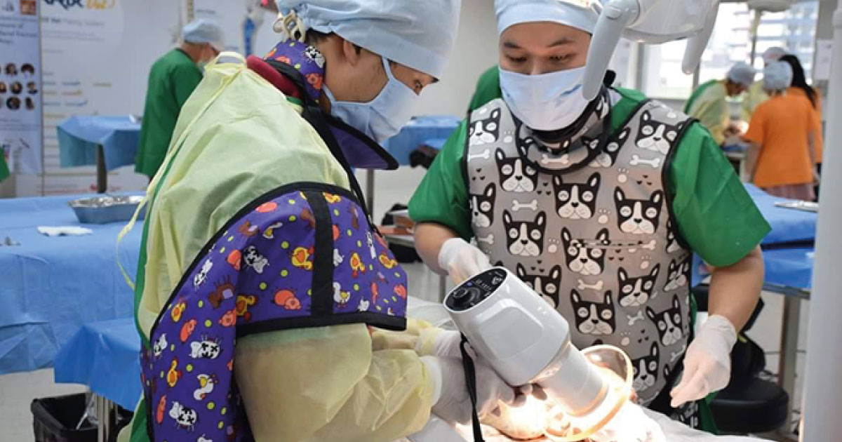 Chula Vets Devise Less Cancerous Way to Pickle Cadavers for Study – Now They Need More Pets