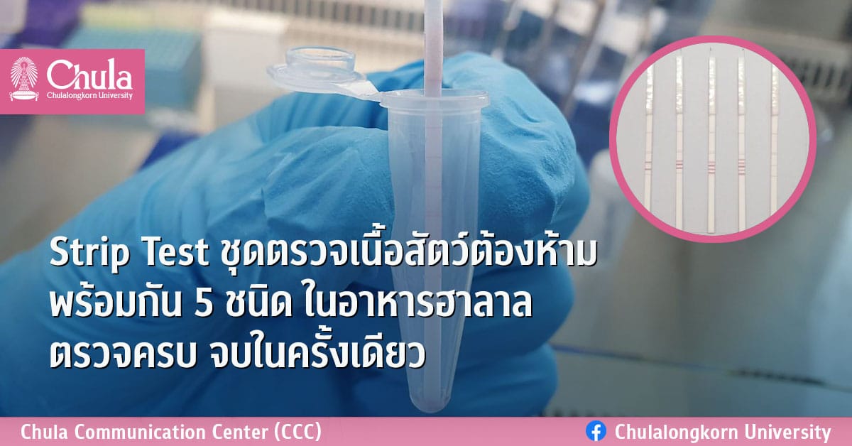 Strip Test ชุดตรวจเนื้อสัตว์ต้องห้ามพร้อมกัน 5 ชนิด ในอาหารฮาลาล ตรวจครบ จบในครั้งเดียว