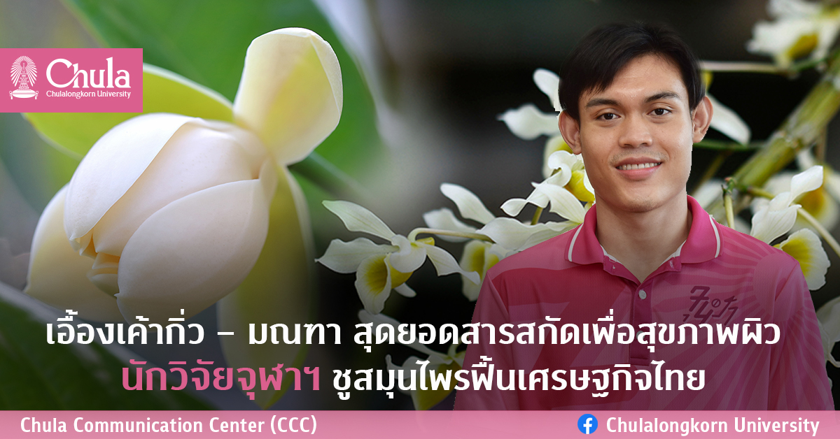 เอื้องเค้ากิ่ว – มณฑา สุดยอดสารสกัดเพื่อสุขภาพผิว นักวิจัยจุฬาฯ ชูสมุนไพรฟื้นเศรษฐกิจไทย