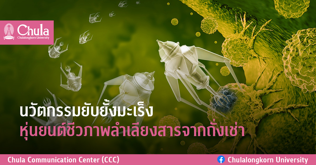นวัตกรรมยับยั้งมะเร็ง หุ่นยนต์ชีวภาพลำเลียงสารจากถั่งเช่า