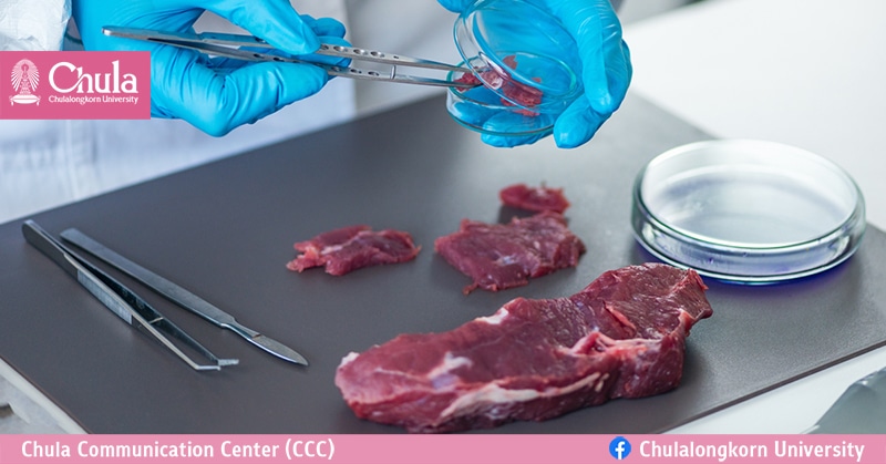นวัตกรรมล่าสุด ศูนย์วิทย์ฮาลาลจุฬาฯ Strip Test ชุดตรวจเนื้อสัตว์ต้องห้าม ค้นดีเอ็นเอ ได้ถึง 5 ชนิดในครั้งเดียว