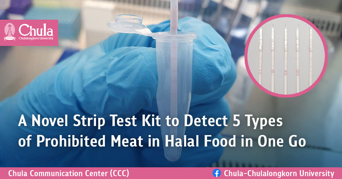 A Novel Strip Test Kit to Detect 5 Types of Prohibited Meat in Halal Food in One Go