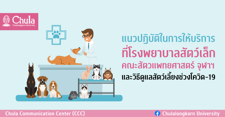 แนวปฏิบัติในการให้บริการที่โรงพยาบาลสัตว์เล็ก คณะสัตวแพทยศาสตร์ จุฬาฯ และวิธีดูแลสัตว์เลี้ยงในช่วงโควิด-19