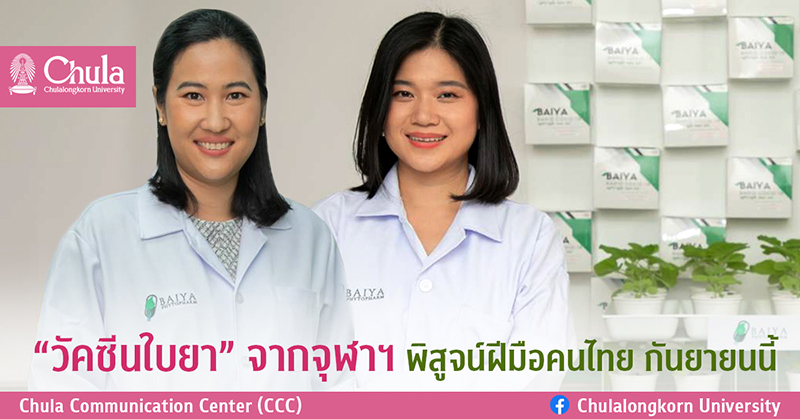 “วัคซีนใบยา” จากจุฬาฯ พิสูจน์ฝีมือคนไทย กันยายนนี้