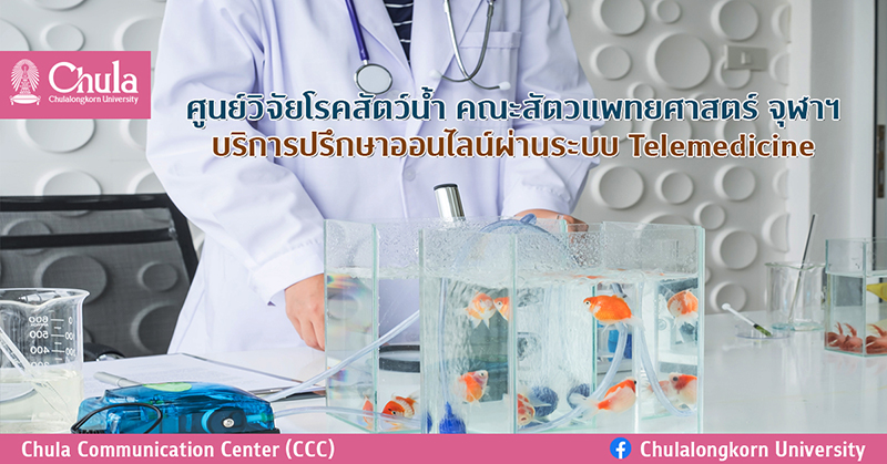 ศูนย์วิจัยโรคสัตว์น้ำ คณะสัตวแพทยศาสตร์ จุฬาฯ บริการปรึกษาออนไลน์ผ่านระบบ Telemedicine