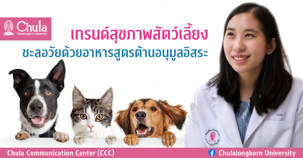 เทรนด์สุขภาพสัตว์เลี้ยง ชะลอวัยด้วยอาหารสูตรต้านอนุมูลอิสระ