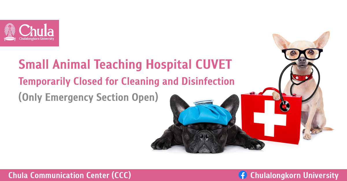 Small Animal Teaching Hospital CUVET Temporarily Closed for Cleaning and Disinfection (Only Emergency Section Open)