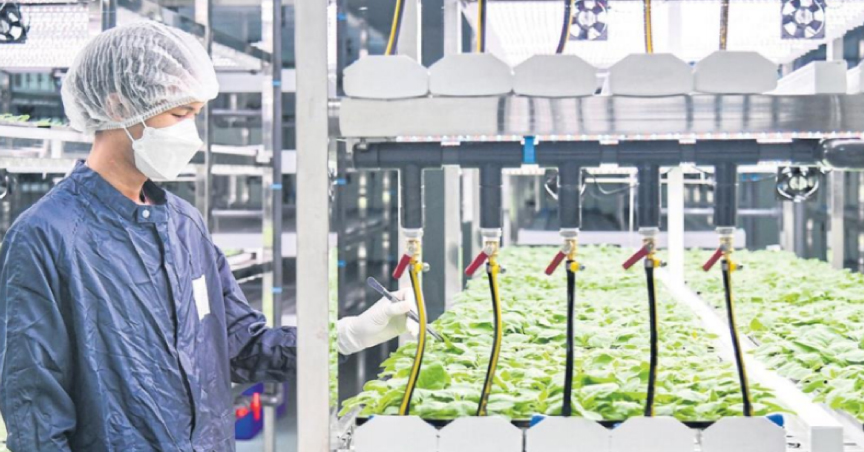 Photo News: Green Weaponry
